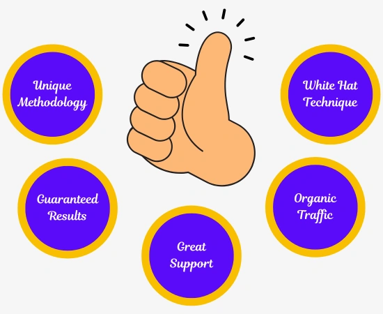 Why choose fahim as an SEO expert